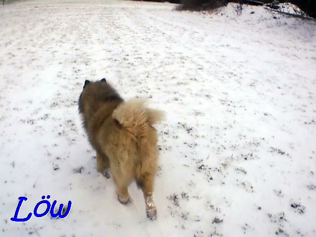 20.3.2021 - Überall  Schnee